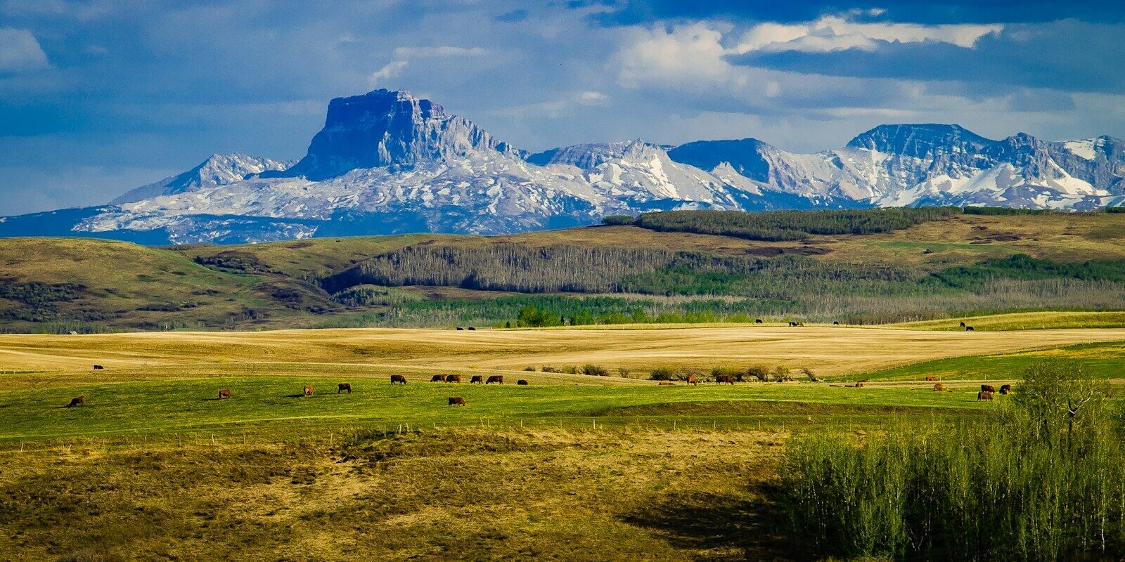 green grass field near mountain under blue sky during daytime
